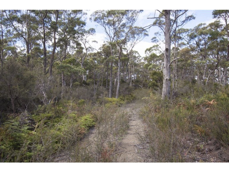 Lot 1 Esperance Coast Road, Surges Bay TAS 7116