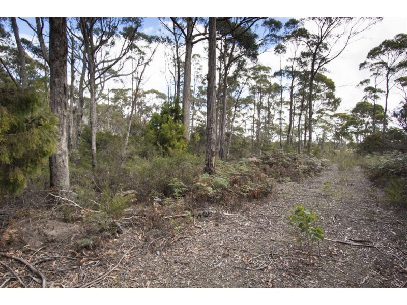 Lot 1 Esperance Coast Road, Surges Bay TAS 7116