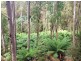 Lot 3 Bakers Creek Road, Lucaston TAS 7109