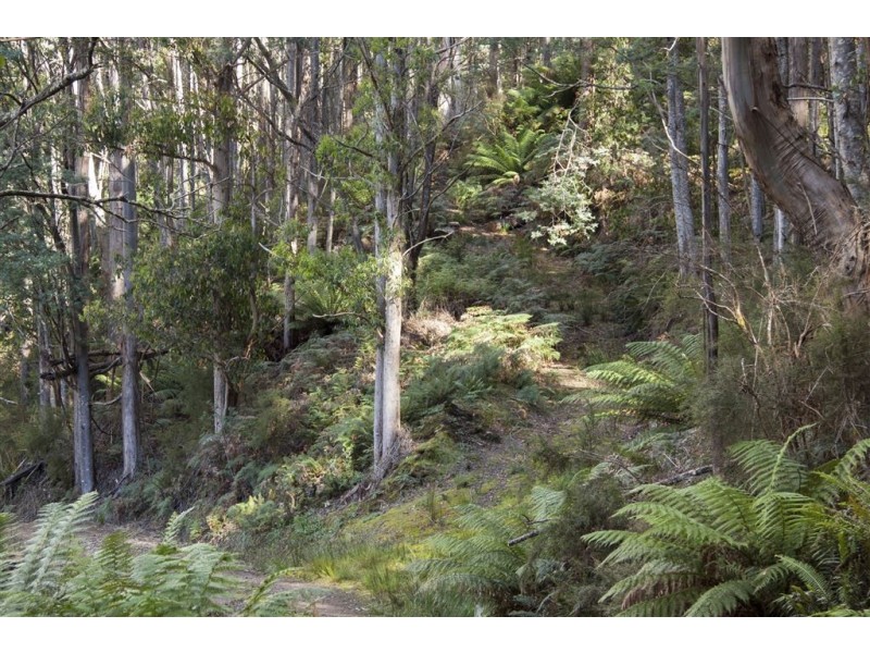 Lot 3 Bakers Creek Road, Lucaston TAS 7109