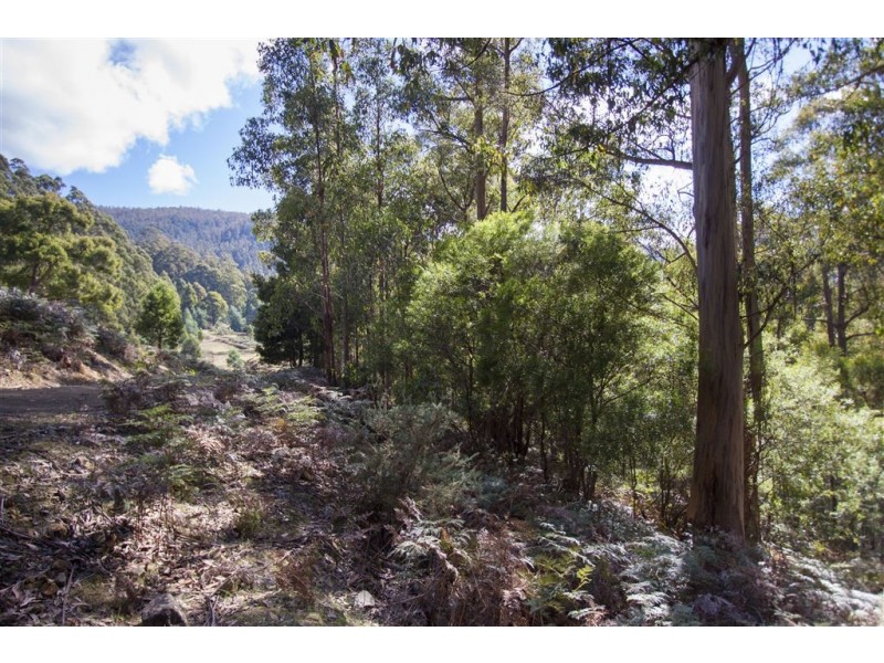 Lot 2 Bakers Creek Trail, Lucaston TAS 7109