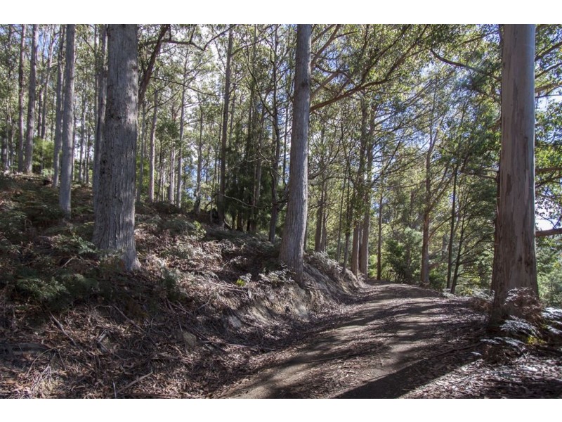 Lot 2 Bakers Creek Trail, Lucaston TAS 7109