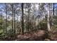 Lot 2 Bakers Creek Trail, Lucaston TAS 7109