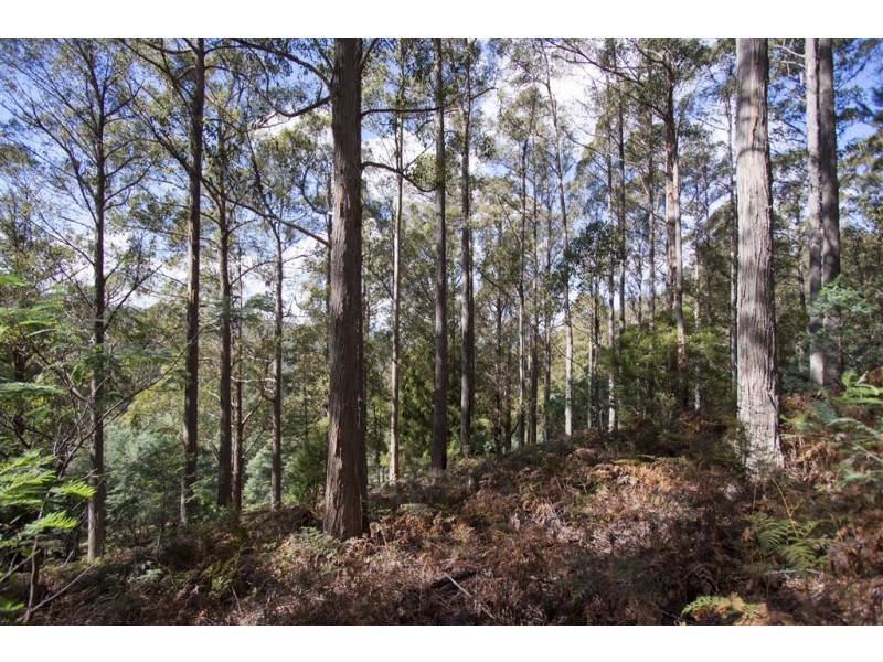 Lot 2 Bakers Creek Trail, Lucaston TAS 7109