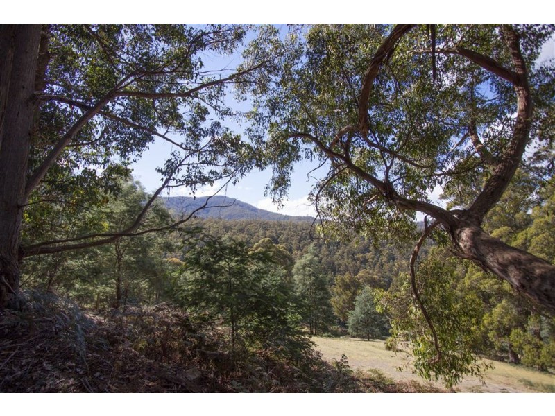 Lot 2 Bakers Creek Trail, Lucaston TAS 7109