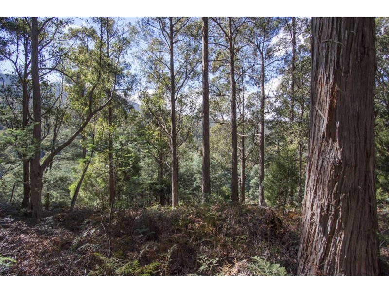 Lot 2 Bakers Creek Trail, Lucaston TAS 7109