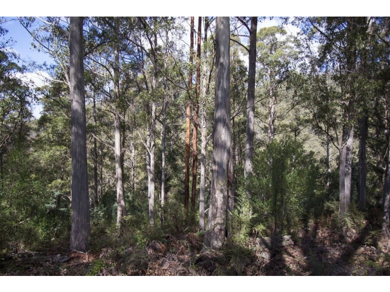 Lot 2 Bakers Creek Trail, Lucaston TAS 7109