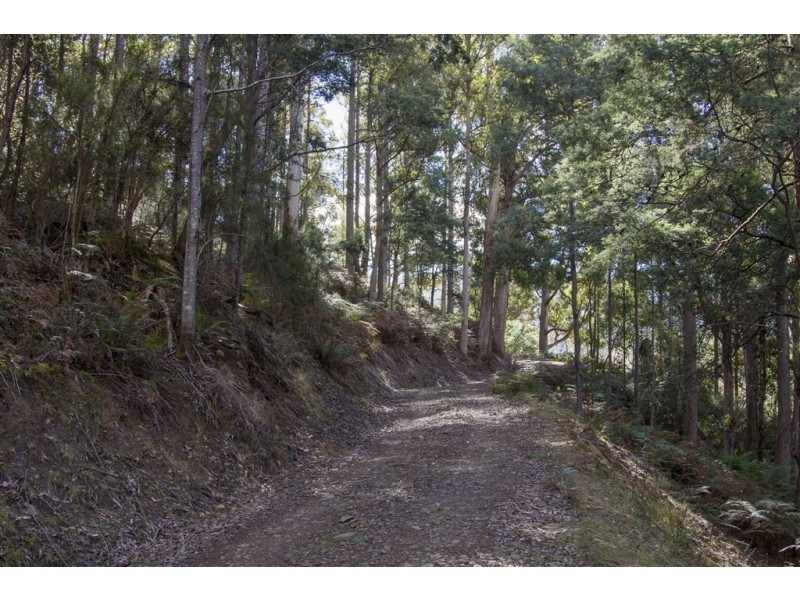 Lot 2 Bakers Creek Trail, Lucaston TAS 7109
