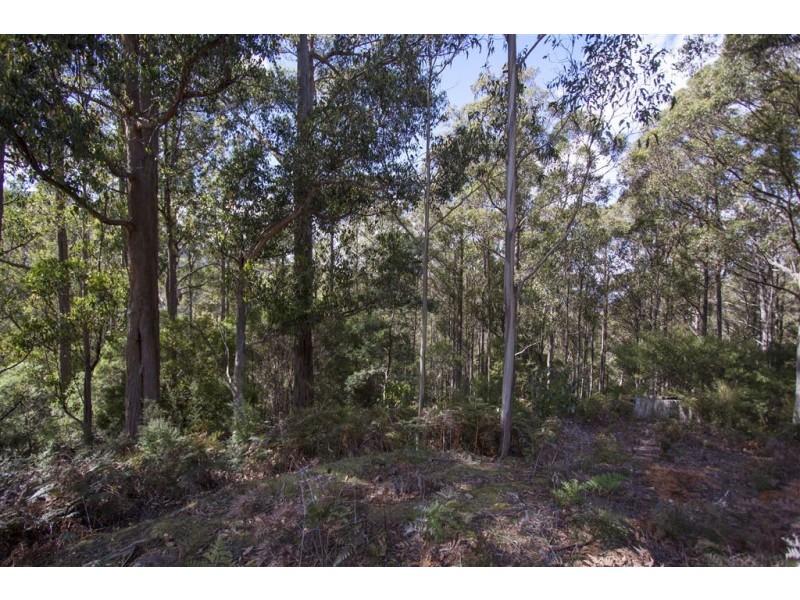 Lot 2 Bakers Creek Trail, Lucaston TAS 7109