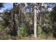 Lot 2 Bakers Creek Trail, Lucaston TAS 7109