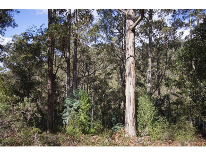 Lot 2 Bakers Creek Trail, Lucaston TAS 7109