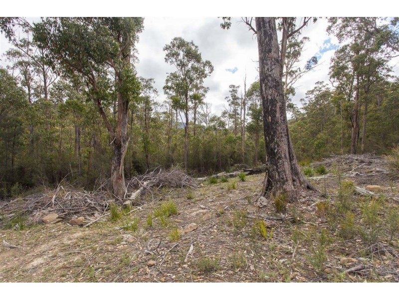 Lot 2 Russell Road, Lonnavale TAS 7109