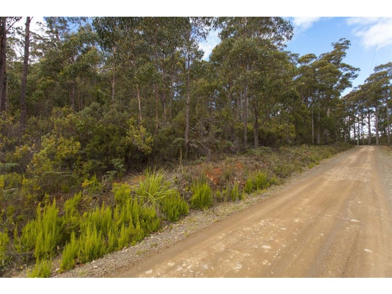 Lot 2 Russell Road, Lonnavale TAS 7109