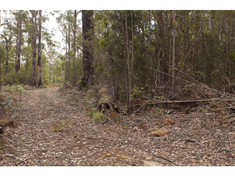 Lot 2 Russell Road, Lonnavale TAS 7109