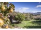 53 Thorp Street, Cygnet TAS 7112