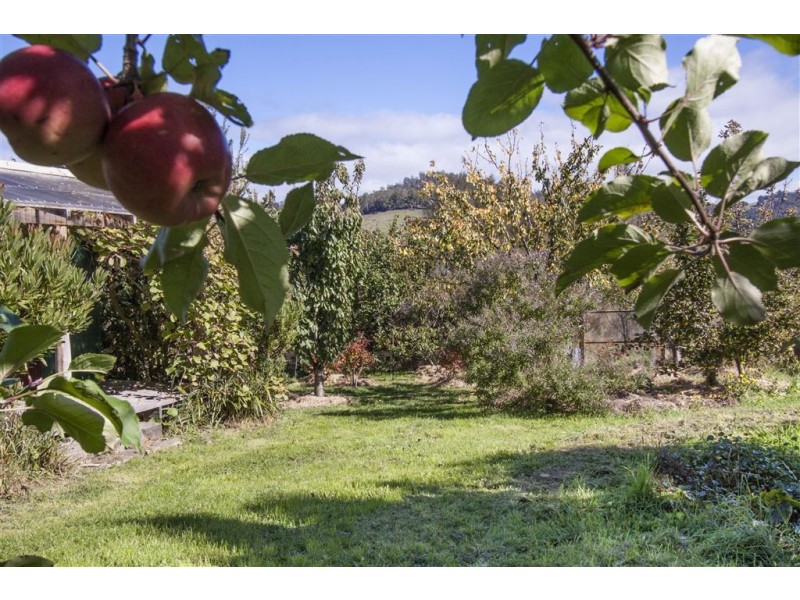 53 Thorp Street, Cygnet TAS 7112