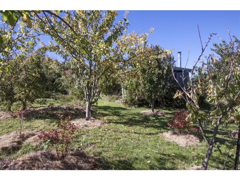 53 Thorp Street, Cygnet TAS 7112