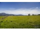 - Huon Highway, Huonville TAS 7109