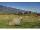 - Huon Highway, Huonville TAS 7109