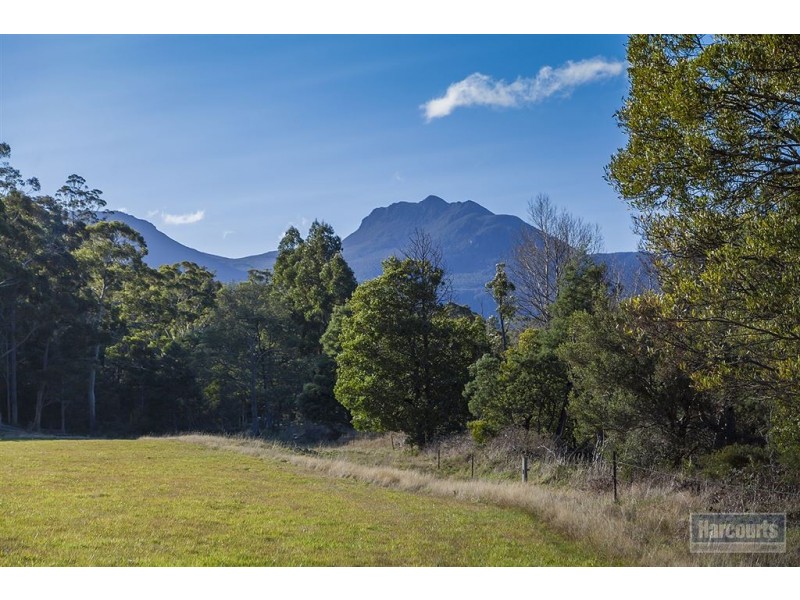 Lot 1, 47 Sawyers Creek Road, Mountain River TAS 7109
