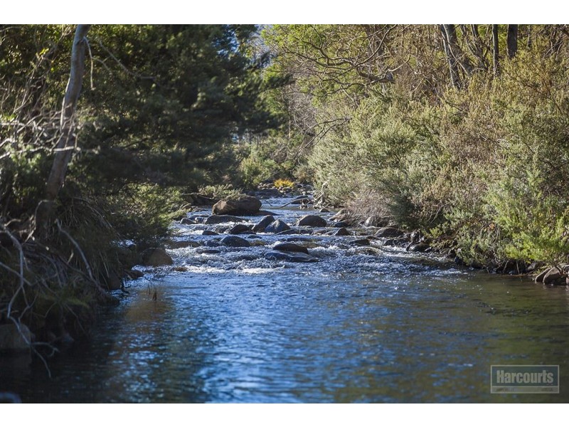 Lot 1, 47 Sawyers Creek Road, Mountain River TAS 7109
