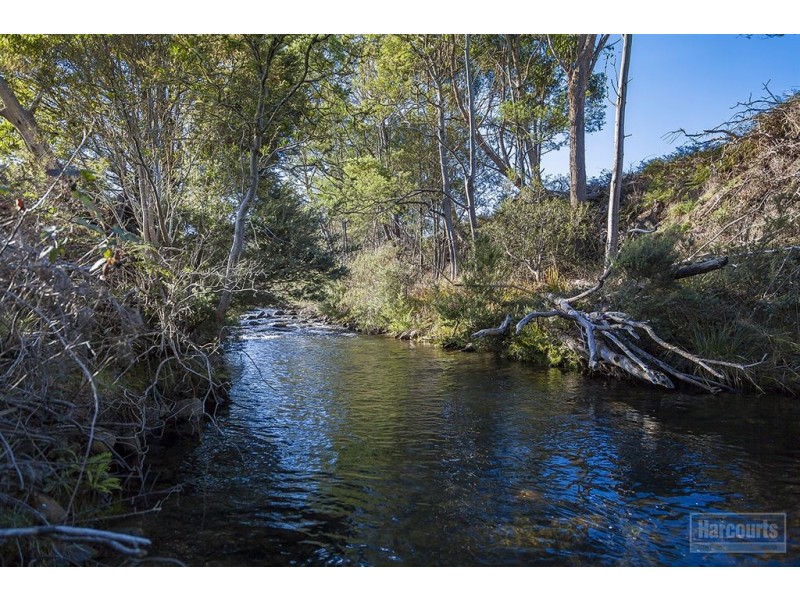 Lot 1, 47 Sawyers Creek Road, Mountain River TAS 7109