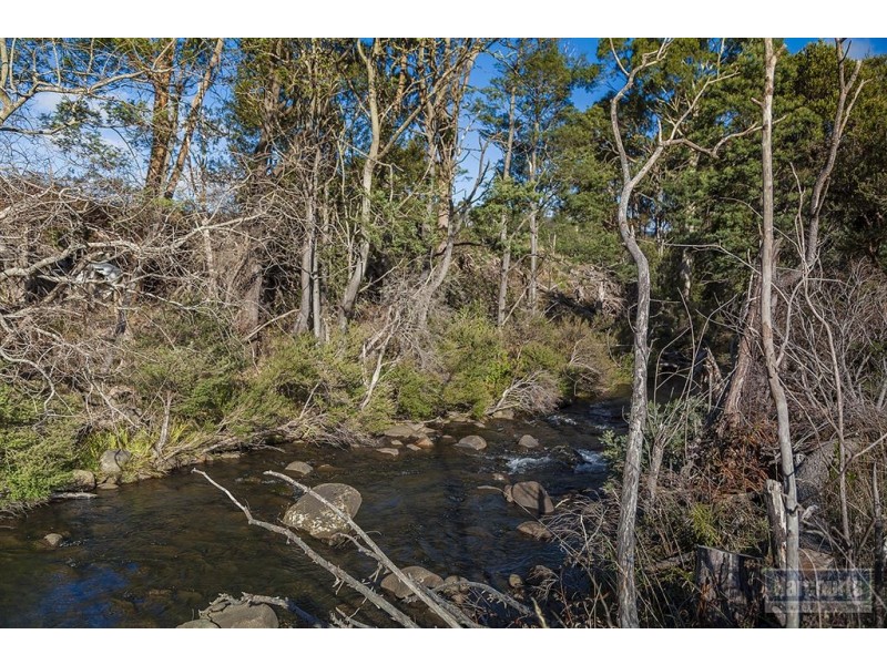 Lot 1, 47 Sawyers Creek Road, Mountain River TAS 7109
