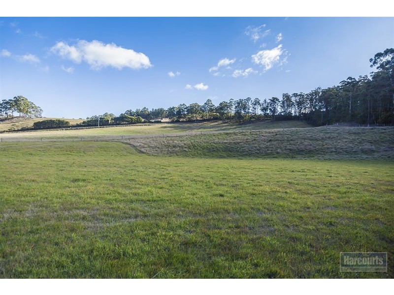 Lot 1, 47 Sawyers Creek Road, Mountain River TAS 7109
