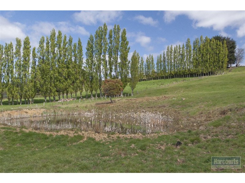 RA Wilson Road, Geeveston TAS 7116