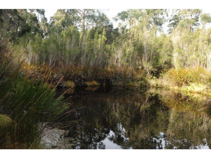 17 Hastings Caves Road, Hastings TAS 7109