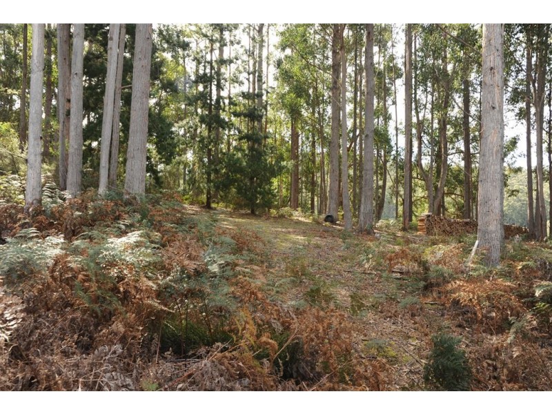 17 Hastings Caves Road, Hastings TAS 7109