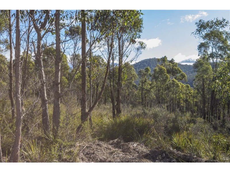 Lot 1 She Oak Road, Judbury TAS 7109