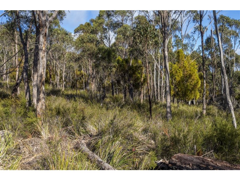 Lot 1 She Oak Road, Judbury TAS 7109