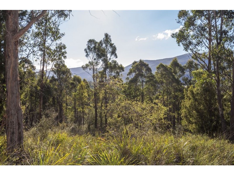 Lot 1 She Oak Road, Judbury TAS 7109