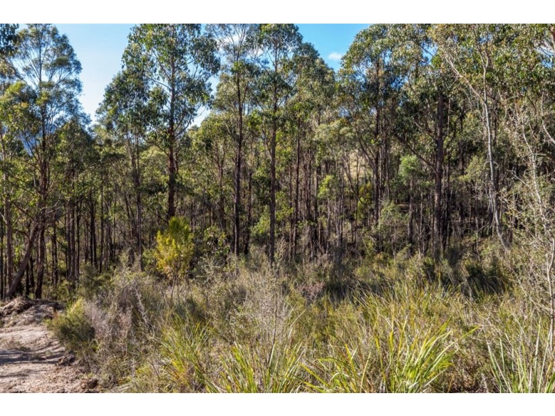 Lot 1 She Oak Road, Judbury TAS 7109