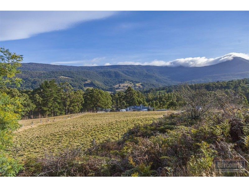 102 Misty Hill Road, Mountain River TAS 7109