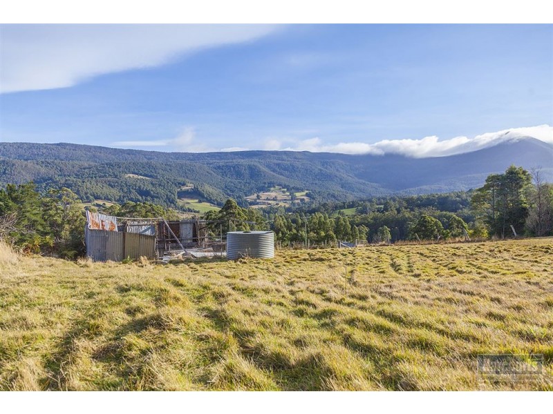 102 Misty Hill Road, Mountain River TAS 7109