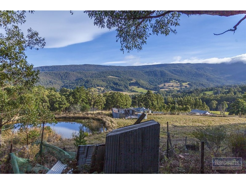 102 Misty Hill Road, Mountain River TAS 7109