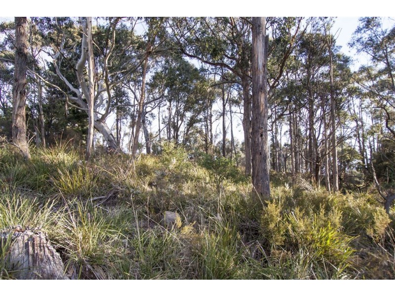 4773 Huon Highway, Geeveston TAS 7116