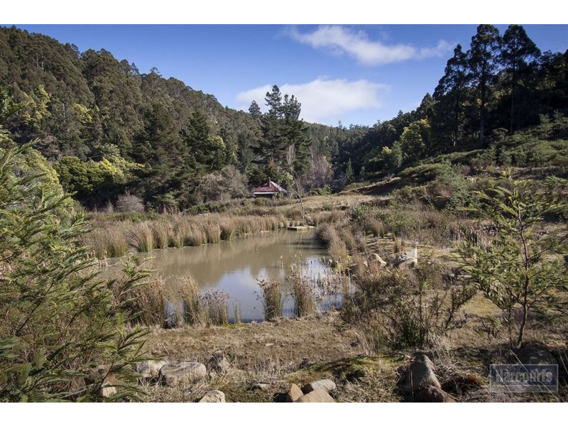 Lot 3 Castle Forbes Road, Castle Forbes Bay TAS 7116