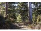 Lot 3 Castle Forbes Road, Castle Forbes Bay TAS 7116