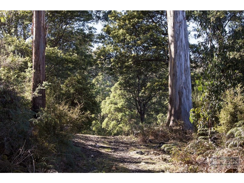 Lot 3 Castle Forbes Road, Castle Forbes Bay TAS 7116