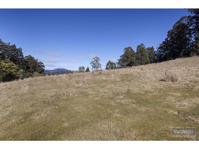 Lot 3 Castle Forbes Road, Castle Forbes Bay TAS 7116