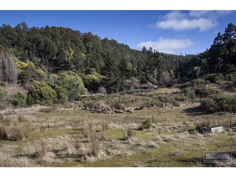 Lot 3 Castle Forbes Road, Castle Forbes Bay TAS 7116