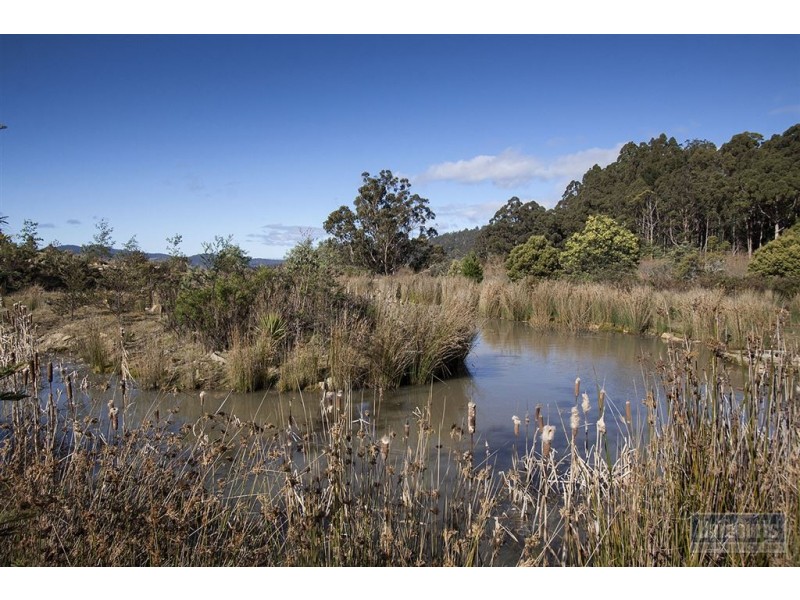 Lot 3 Castle Forbes Road, Castle Forbes Bay TAS 7116