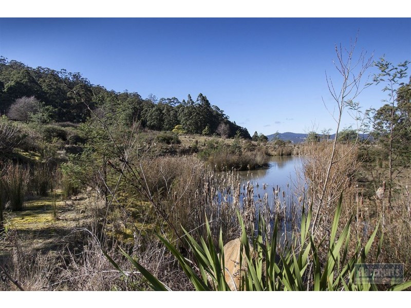Lot 3 Castle Forbes Road, Castle Forbes Bay TAS 7116