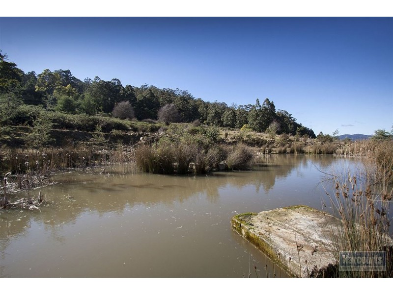Lot 3 Castle Forbes Road, Castle Forbes Bay TAS 7116