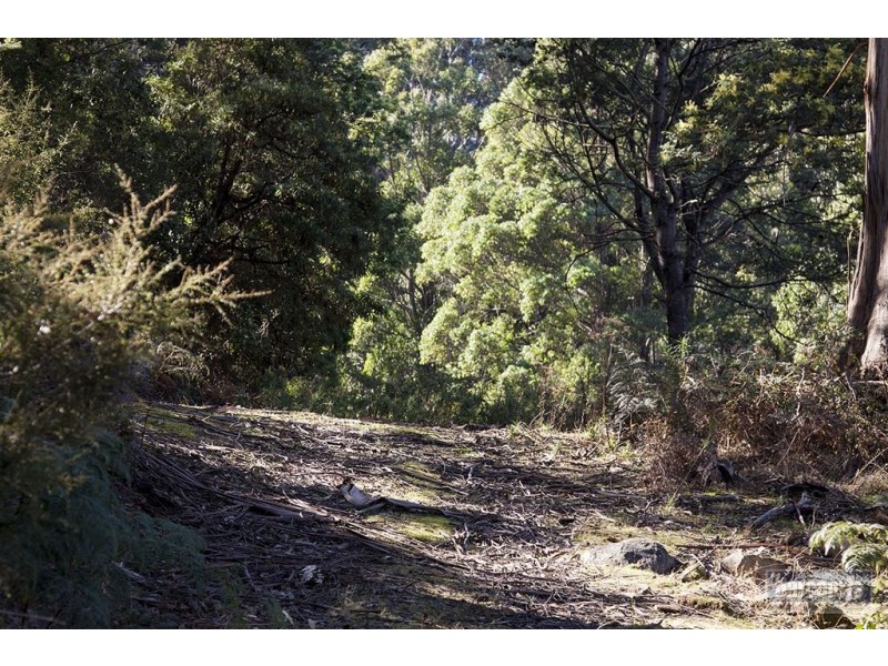 Lot 3 Castle Forbes Road, Castle Forbes Bay TAS 7116