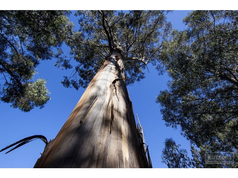 Lot 3 Castle Forbes Road, Castle Forbes Bay TAS 7116
