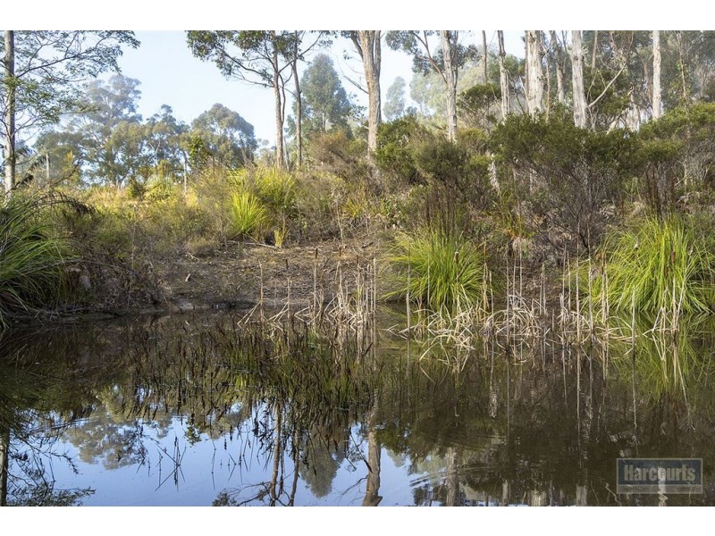 27 White Cliffs Road, Brooks Bay TAS 7116